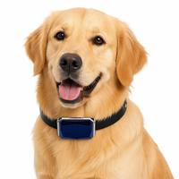 Traceur GPS pour animaux G12 : Suivi de localisation en temps réel, historique de 90 jours, multiples méthodes de localisation précise