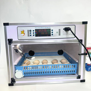 Incubateur d'œufs intelligent entièrement automatique pour 256 œufs, pour <span class=keywords><strong>l</strong></span>'éclosion de poulets, canards, oies et oiseaux - Product Image 3