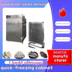 Nitơ lỏng nhanh chóng-Đóng Băng tủ cá hồi Tủ đông sầu riêng Nitơ lỏng tủ đông - Product Image 2