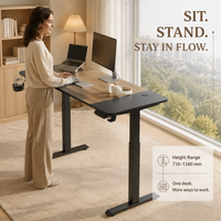 Bureau relevable en placage de bois massif AOR pour le bureau et les jeux à domicile, disponible en design moderne, options multicolores, vente en gros d'usine