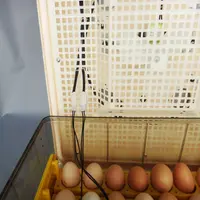 Inkubator für kleine Eier JANOEL 96 Voll automatisches Drehen von 96 Hühnereiern für Reptilien-Brut apparate