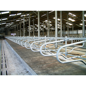 Hangar préfabriqué en acier isolé et ventilé pour ferme pour l'élevage des vaches - Product Image 6