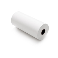 50 rouleaux de papier thermique pour échographie Upp-110 HD Type II pour la vente en gros