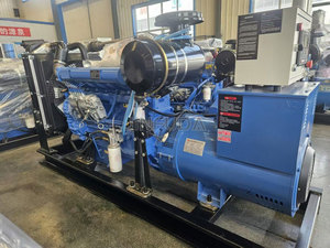 Générateur diesel industriel à longue durée de vie pour les champs pétrolifères et les chantiers de <span class=keywords><strong>construction</strong></span> en Irak et en Algérie - Product Image 2