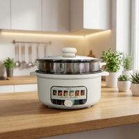 SORGE 4L Marmite Électrique Multifonction en Acier Inoxydable, Cuiseur Vapeur 1000W, Chauffage Rapide, Pot Intérieur en Céramique Antiadhésive, Verre Trempé