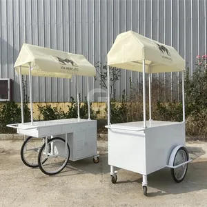 Küçük taşınabilir elektrikli sepeti soğutucu levha itme şemsiye açık Mini tekerlek süpermarket arabası