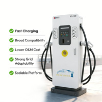 Chargeur DC pour véhicules électriques haute efficacité 60 kW 80 kW, station de recharge publique commerciale avec fonction de charge simultanée