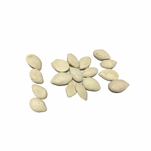 Semi di zucca bianchi come la neve economici semi di zucca al gusto salato noccioli - Product Image 4