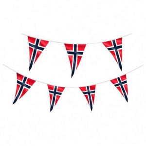 High Quality 100% Polyester Custom Fabric String <b>Flag</b> Event Display Bunting Pennant Outdoor Banner - Product Image 3