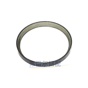 Anillo de Engranaje ABS Peugeot Citroën 454919 454923 334909 para 307 308 407 C3 C4 Megane, Pieza de Repuesto - Product Image 1