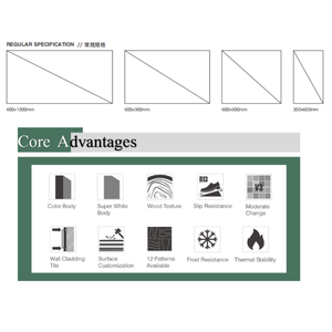 אריחי פורצלן אורתסטון מלאים מבטון סִגְנוֹן 60*120 ס\"מ R12 אריחים הומוגניים לחוץ לחצר, פטיו וריצוף חיצוני - Product Image 5