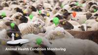 Étiquette d'oreille intelligente pour la surveillance de la santé animale avec détection d'activité et BLE 5.0