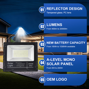 Faro LED <span class=keywords><strong>Solare</strong></span> OEM in Alluminio 40W-1000W ad Alta Luminosità per Esterni, Giardini e Campi da Basket con <span class=keywords><strong>Protezione</strong></span> IP67 - Product Image 2