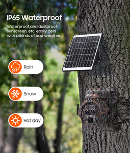 Câmera Solar Oculta SECTEC Mini com Zoom 12X, Camuflagem Folha de Bordo, Cartão SIM 4G, IP66, Alimentada por Bateria e Energia Solar, com Sensor PIR - Product Image 1