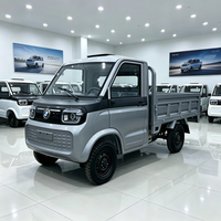 Mini camion électrique pour le marché de gros, véhicule à 4 roues avec cabine climatisée