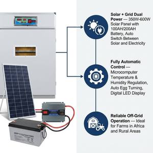 Incubadora Solar <span class=keywords><strong>de</strong></span> Huevos, Máquina para Incubar 264 Huevos, Incubadora Automática <span class=keywords><strong>de</strong></span> Huevos <span class=keywords><strong>de</strong></span> Pollo para Incubación en Zambia - Product Image 3