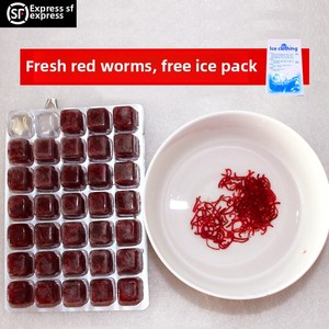 Sấm rồng 500g thức ăn vật nuôi-Giun Đỏ đông lạnh và thức ăn cho cá bao gồm cả giun máu tuyến trùng đỏ tôm nước muối luohan thức ăn cho cá - Product Image 6