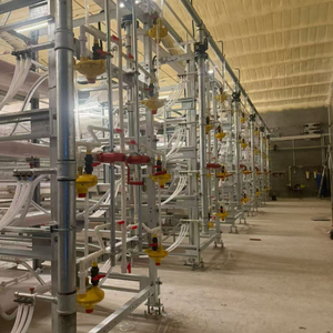 Cage d'élevage de poulets commerciale - Product Image 2