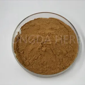 Ganoderma Lucidum Powder HONGDA 30% 50% Polysaccharide Reishi Mushroom Powder Extract Ganoderma Lucidum Extract Powder
