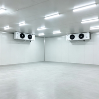 Chambre froide commerciale pour la conservation de la viande, grande chambre froide pour restaurant, salle de transformation de la viande, congélateur pour aliments surgelés, stockage frigorifique