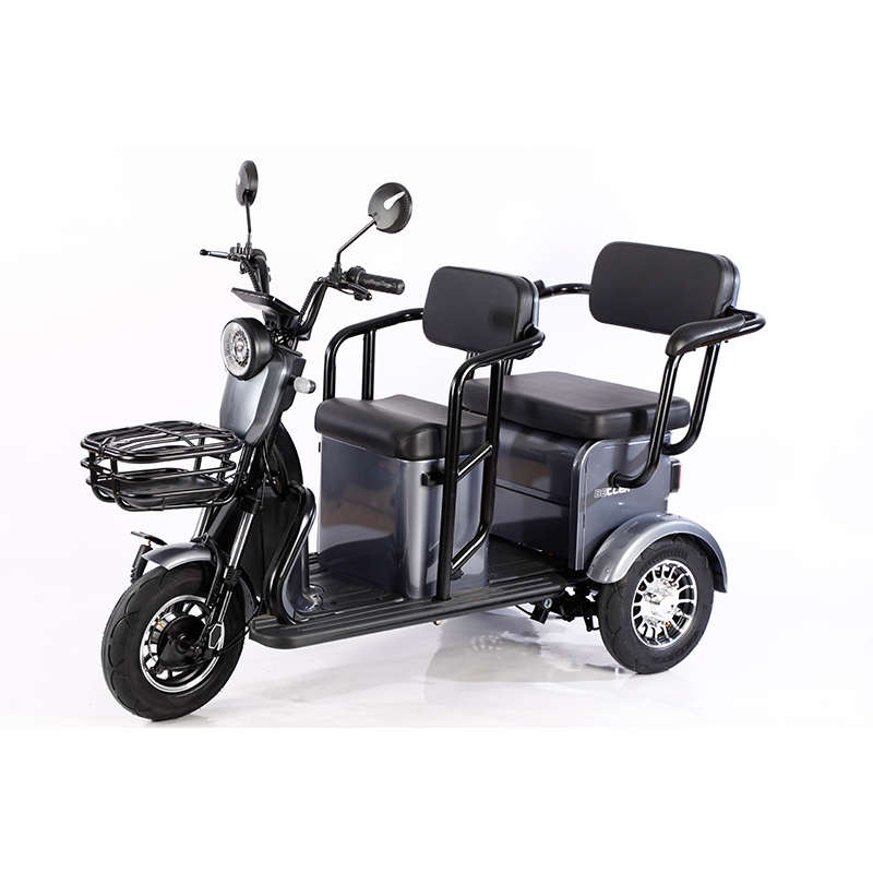 china gold supplier quality 3 wheel mobility handicapped scooter