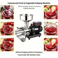 Top gewaardeerde automatische mini elektrische fruitpers met motor van roestvrij staal voor het maken van tomatenpuree voor ontbijt & bakken