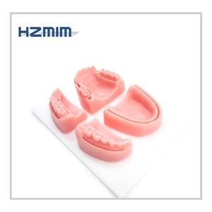 Práctica de sutura oral modelo de piel almohadilla de entrenamiento de sutura Dental <span class=keywords><strong>ciencia</strong></span> médica CPR maniquí <span class=keywords><strong>Material</strong></span> de silicona para escuelas - Product Image 2