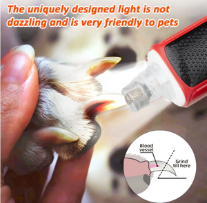 جهاز تشذيب شعر الحيوانات الأليفة متعدد السرعات للاستخدام اليومي المنزلي وصالونات العناية بالحيوانات الأليفة والسفر، قابل لإعادة الشحن، <span class=keywords><strong>7</strong></span> سرعات، إضاءة LED 360 درجة، احترافي للكلاب والقطط - Product Image 4