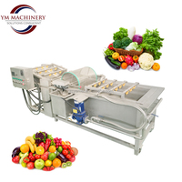 Industriële bubbelwasmachine voor fruit- en groenteverwerkingsbedrijven