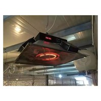 Chauffage infrarouge électrique pour poulets de ferme, couveuse pour poussins, chauffage infrarouge électrique pour volailles, couveuse pour cailles, lampe chauffante infrarouge électrique