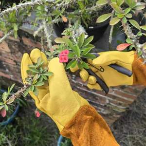 Protective <strong>Leather</strong> Work Gloves for Garden Long <strong>Sleeve</strong> Rose Yard Work Gauntlets <strong>Welding</strong> Gloves for Industry Application