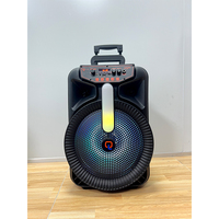 Enceinte portable de karaoké 12 pouces avec microphone sans fil LED RGB, entrées USB/Aux/RCA/XLR, télécommande, 20W, enceinte en plastique, écran d'affichage