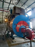 Chaudière à vapeur industrielle chinoise Caldera De Vapor 10 20 30 80 100 150 300 400 800 1000 Bhp Hp