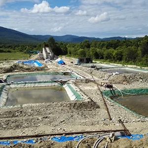 Mejor Sistema de Recuperación de Carbono en Plantas de Procesamiento de Pulpa, Planta de Proceso CIP de Lixiviación de Cianuro para Oro - Product Image 4
