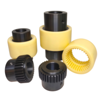 Housse en nylon légère et compacte SFS 45 #   Accouplement d'engrenages flexible universel de type NL, traité par oxydation de l'acier, personnalisation OEM
