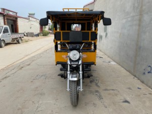 Triciclo Motorizado de Carga Abierta de 3 Ruedas, Modelo 2025, Gasolina 200cc, 7 Asientos, Alta Capacidad de Carga, Alta Velocidad, Certificado EEC, China RT - Product Image 3