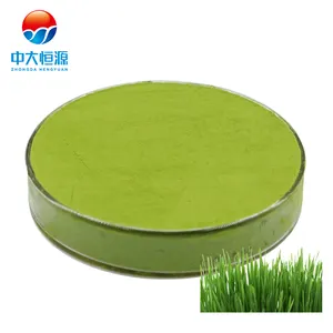 private label green wheat grass juice young barley leaves powder