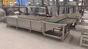 Attrezzatura Automatica per il Lavaggio di Cavoli, Zucche e Peperoni con Nastro Trasportatore e Bolle d'Aria, Personalizzabile da 3m, 4m, 5m - Product Image 6