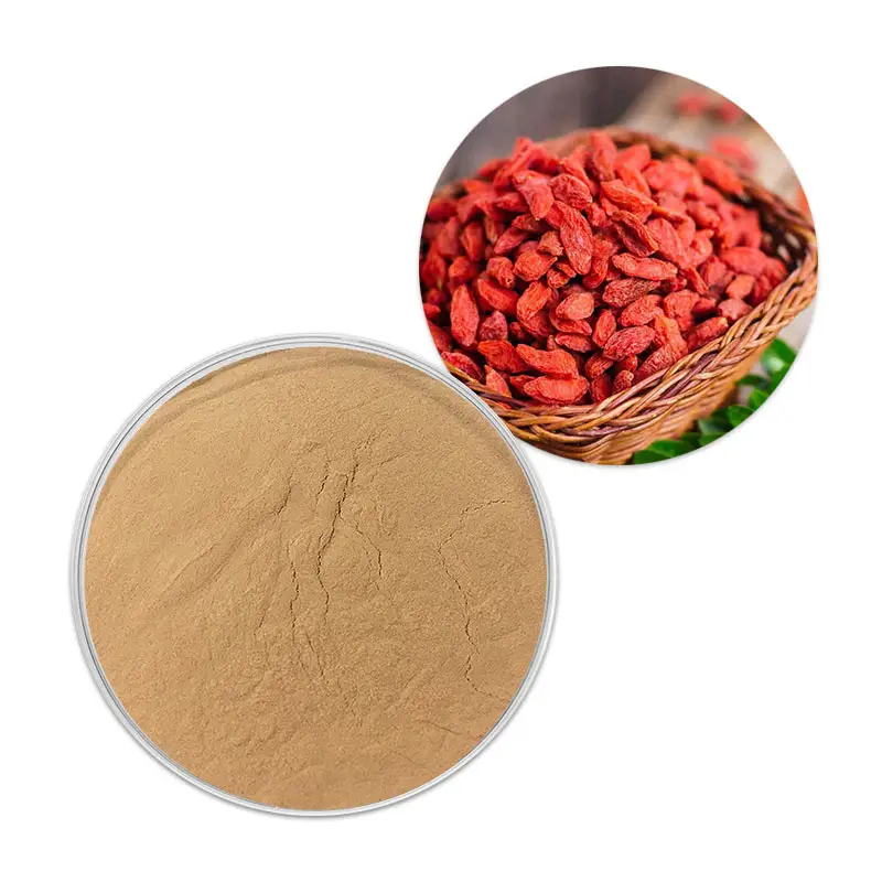 Extracto en polvo de lycium barbarum tibetano, natural, Wolfberry(Goji berry)