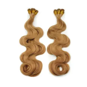 Three Color Natural Transition Virgin Hair Double Drawn Hand Tied Weft 100% Remy Hair Extension Russian Hair Bundles