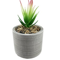 Ventes en gros de pots de fleurs en ciment de forme ronde pour plantes d'intérieur, catégorie des fabricants : pots de fleurs