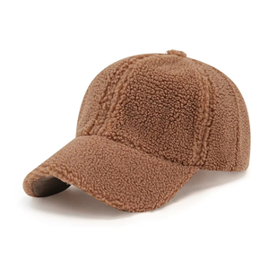 Korean <strong>Wave</strong> Women's Lamb Wool Baseball <strong>Cap</strong> 100% Polyester Curved Embroidered Logo Light Plate Teddy Velvet Winter Thick Warm - Product Image 3