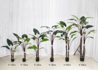 Plante artificielle Calathea Y981, palmier vert italien, plante en pot décorative, vente en gros, décoration d'intérieur, plantes en plastique