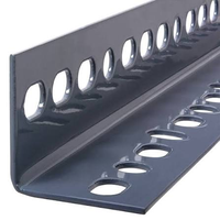Acier angulaire perforé Q235B Q355B HDG résistant aux intempéries, support de fixation murale d'usine