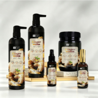 Après-shampoing nourrissant au gingembre 900ml, riche en extraits de plantes biologiques, réparation profonde des cheveux abîmés et amélioration de la brillance et de l'élasticité
