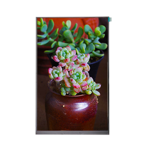 Oem 10.1 ''TFT <span class=keywords><strong>LCD</strong></span> module với 1200x1920 Độ phân giải LED Đèn nền cảm ứng điện dung và mipi giao diện cho <span class=keywords><strong>LCD</strong></span> module - Product Image 2