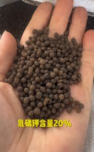 Organik Gübre Mineral Kaynağı Potasyum Fulvat Granül Ekstrüde Parçacıklar %100 Suda Çözünür Fabrika Fiyatı - Product Image 2