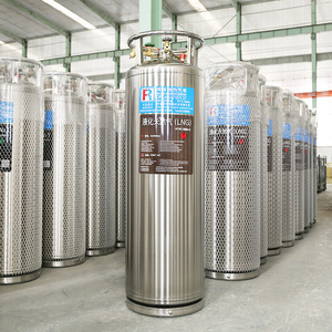 ถังเก็บก๊าซอุตสาหกรรมเหล็ก Lng Dewar Flask 40 ลิตร 219 มม. รุ่นแรงดันต่ำ Cf-40p10-137 - Product Image 1