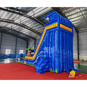 Tropical Backyard Summuer Jumping Castle <b>Water</b> <b>Slide</b> Inflatable Giant Ble Marble Palm Tree Inflatable <b>Water</b> <b>Slide</b> for <b>Water</b> Park - Product Image 4