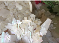 Vente en gros de feuilles de coquillages concassés, tranches de coquillages, coquillages de rivière d'eau douce colorés, copeaux de coquillages pour décorations de manucure